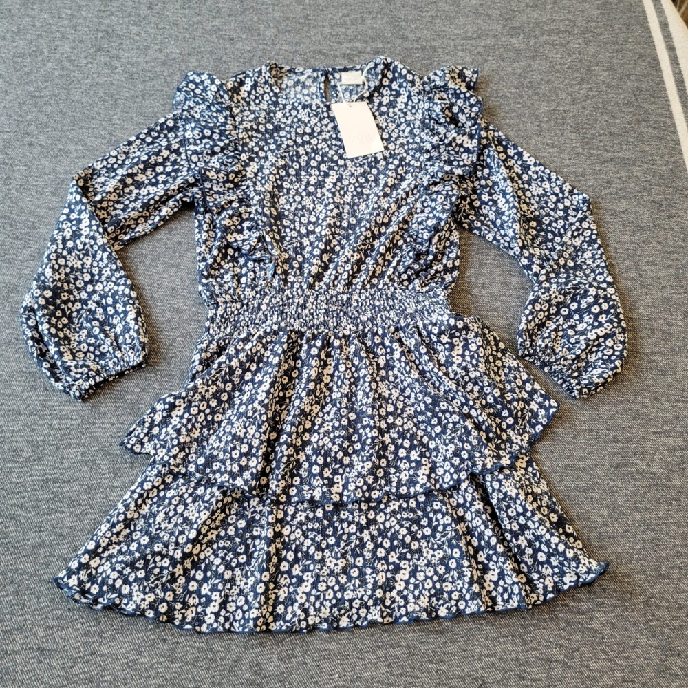 Zara Floral Dress Girls 13-14 Blue NWT Ruffle Tiered Smocked Long Sleeve